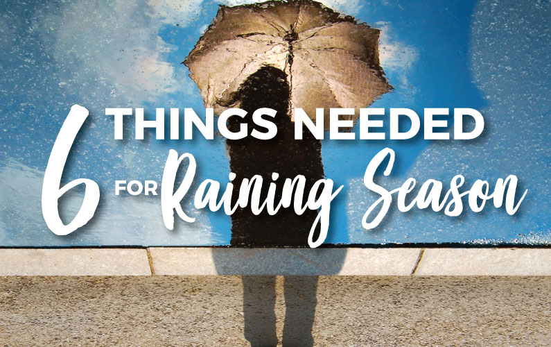 6 Things Needed for Raining Season